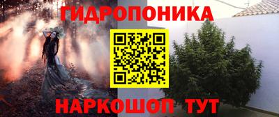 apvp Кунгур