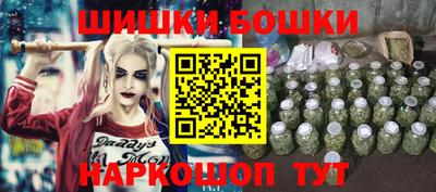 apvp Кунгур