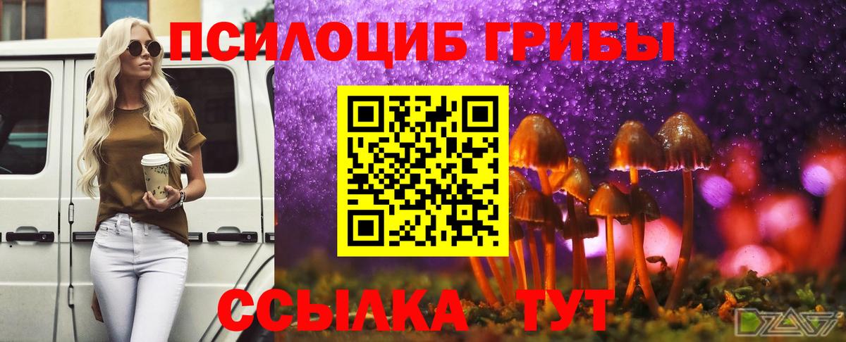 Грязи  Галлюциногенные грибы Psilocybine cubensis  как найти закладки  Вход с VPN  Галлюциногенные грибы Psilocybe 