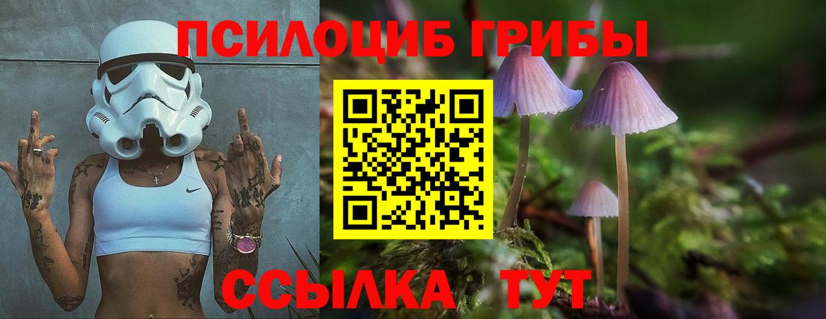 Псилоцибиновые грибы Cubensis Грязи