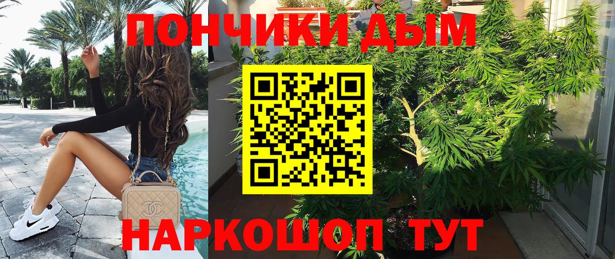 Конопля конопля Грязи